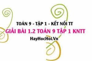 Giải 1.2 Toán 9 tập 1 SGK Kết nối tri thức